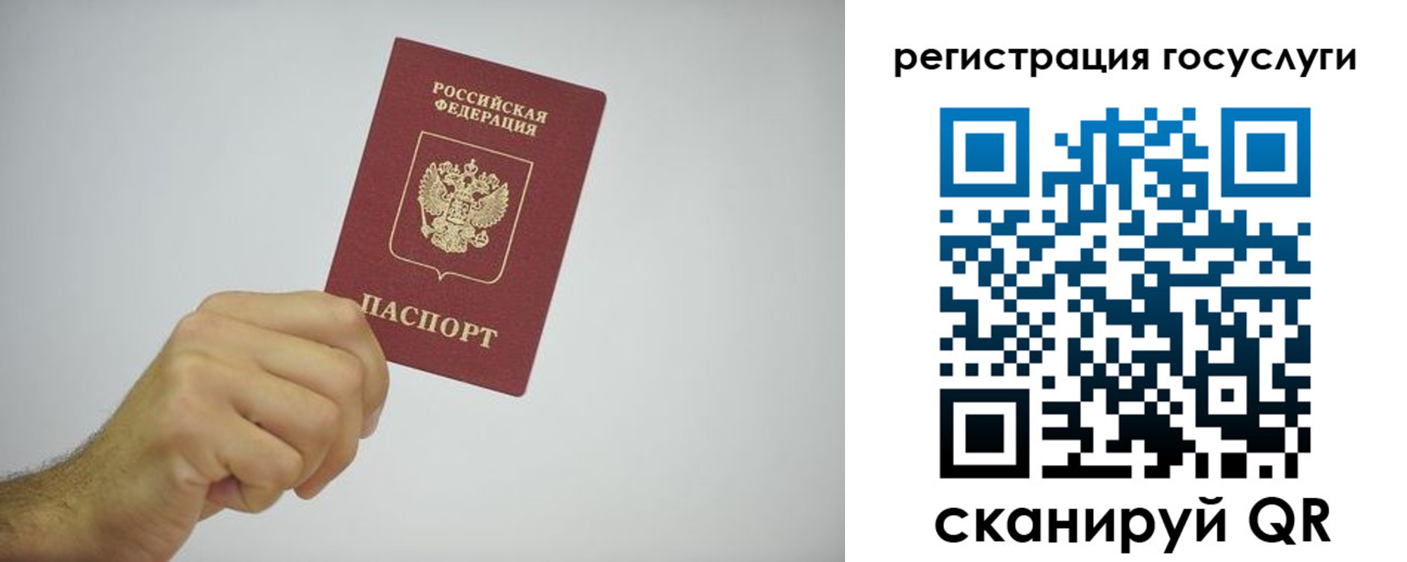 временная регистрация гарантия в Алтайском крае